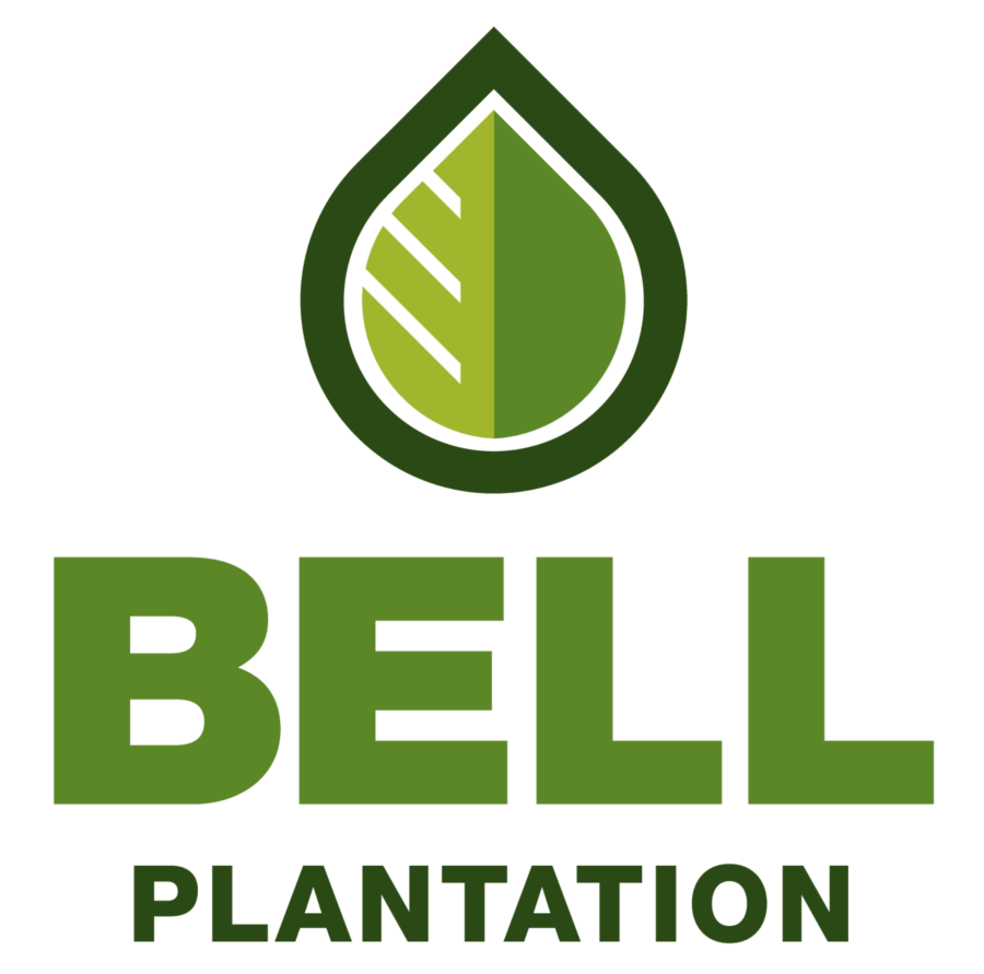 Bell Plantation PB2