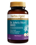 St John's Wort 3600 by Herbs of Gold
