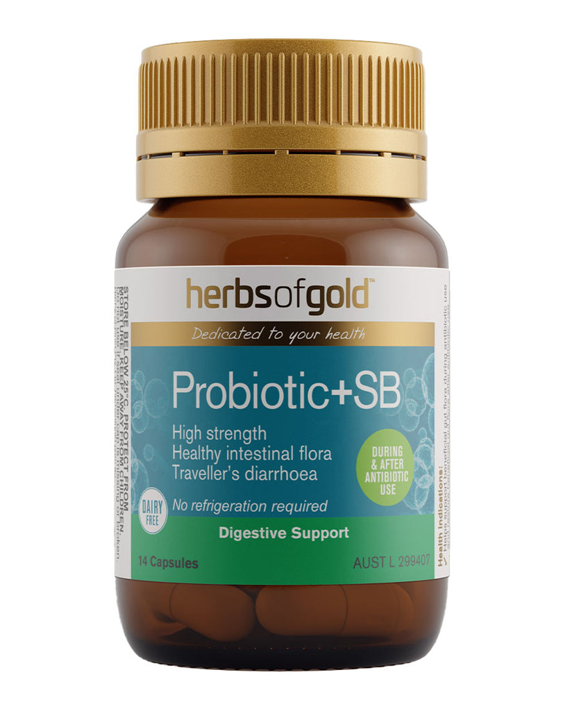 Herbs of Gold Probiotic +SB, 14 capsules, high-strength probiotic supplement for digestive and intestinal health