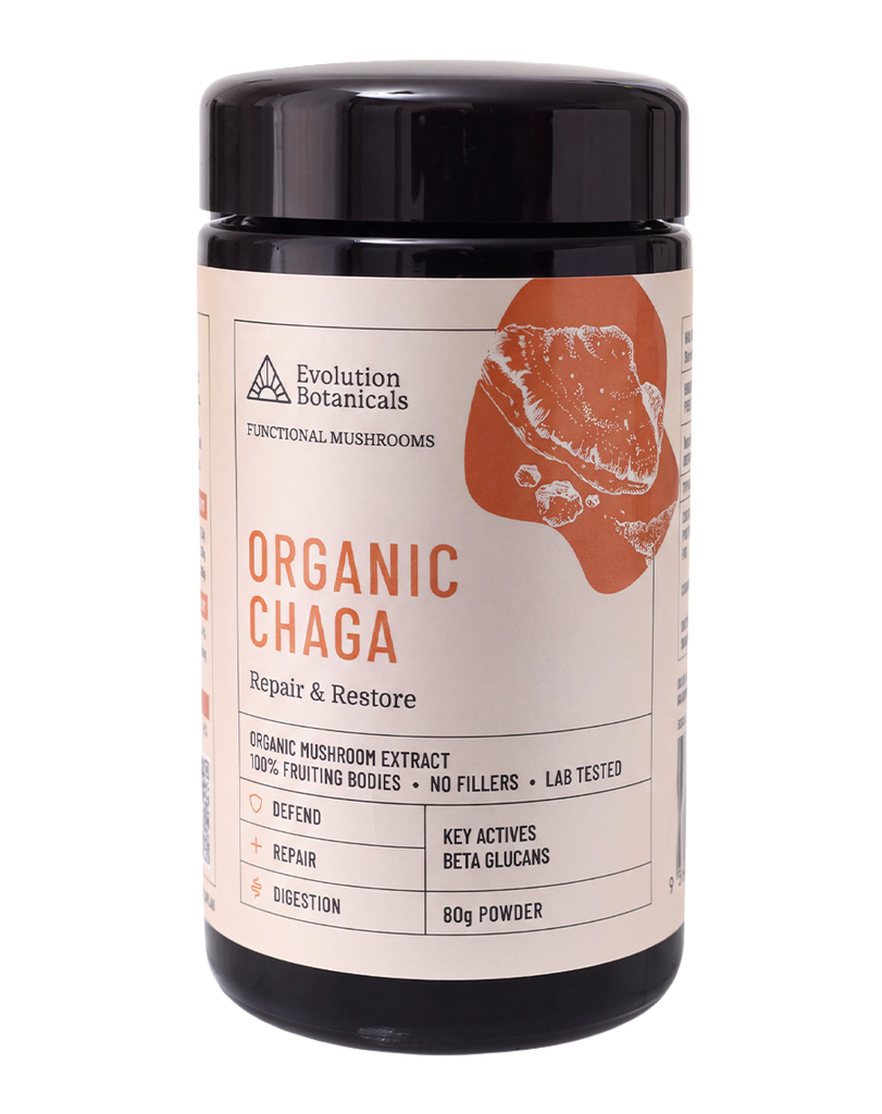 80g Evolution Botanicals Chaga functional mushroom powder, black jar with beta glucans and organic extract branding