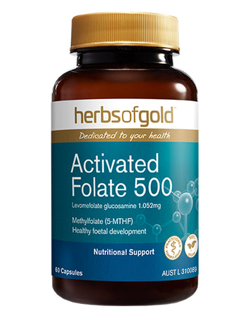 Activated Folate 500 by Herbs of Gold